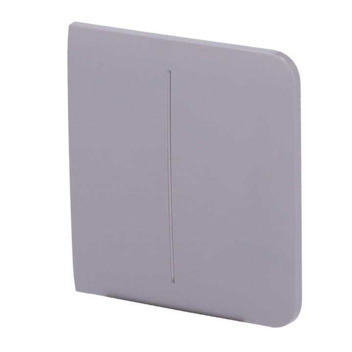 AJAX AJ-SIDEBUTTON-2G-GRE — Panneau tactile pour double interrupteur d