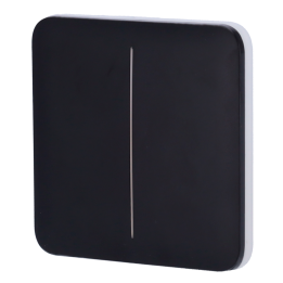 AJAX AJ-SOLOBUTTON-2G — Panneau tactile pour double interrupteur d'écl