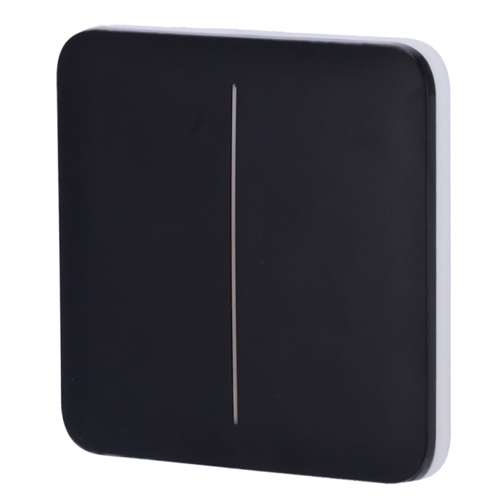 AJAX AJ-SOLOBUTTON-2G — Panneau tactile pour double interrupteur d'écl