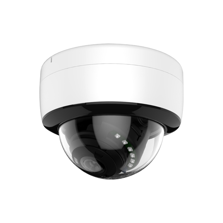 MARCA BLANCA D925-3KE — Caméra dôme Gamme ECO | AVS Domotec