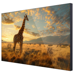 HIKVISION DS-D2065UL-0AU — Moniteur mur d'images 65" | AVS Domotec