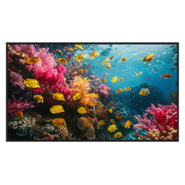 HIKVISION DS-D6043UH-DP — Moniteur de signalisation numérique 43" 4K |