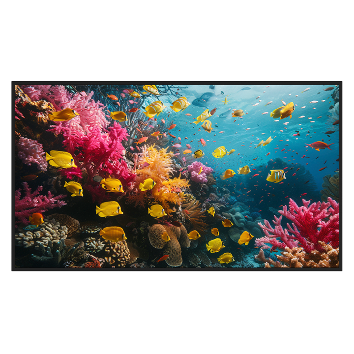 HIKVISION DS-D6043UH-DP — Moniteur de signalisation numérique 43" 4K |