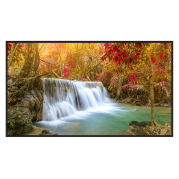 HIKVISION DS-D6055UN-DP — Moniteur de signalisation numérique 55" 4K |