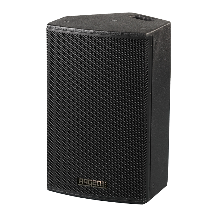 DSPPA DSPPA-D6535A — Enceinte active professionnelle DSPPA | AVS Domot