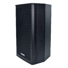 DSPPA DSPPA-D6563 — Enceinte professionnelle à deux voies DSPPA | AVS 