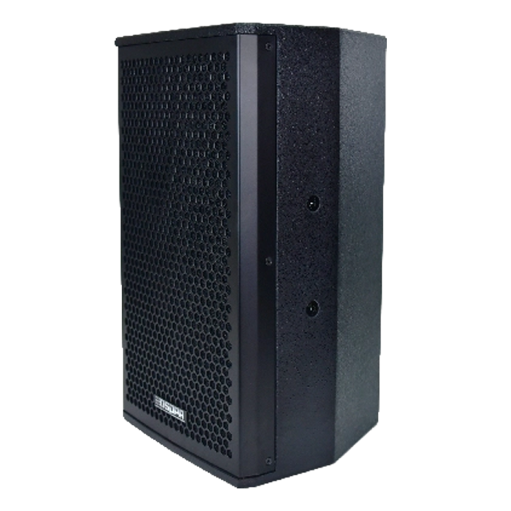 DSPPA DSPPA-D6563 — Enceinte professionnelle à deux voies DSPPA | AVS 