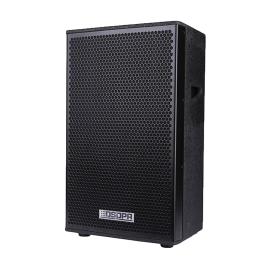 DSPPA DSPPA-D6566 — Enceinte passive professionnelle DSPPA | AVS Domot