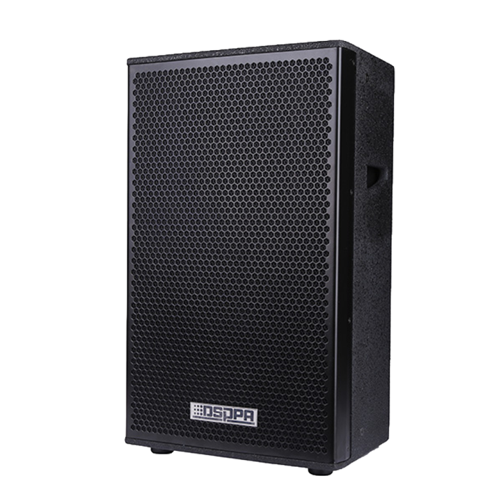 DSPPA DSPPA-D6566 — Enceinte passive professionnelle DSPPA | AVS Domot