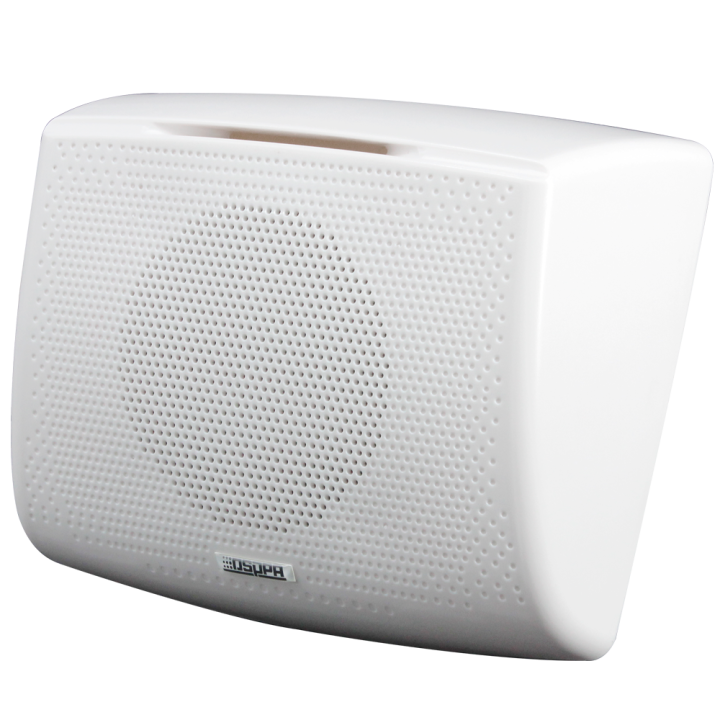 DSPPA DSPPA-DSP116II — Haut-parleur de plafond | AVS Domotec