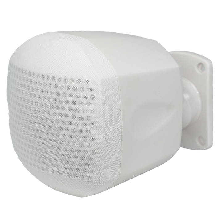 DSPPA DSPPA-DSP129W — Haut-parleur de plafond | AVS Domotec