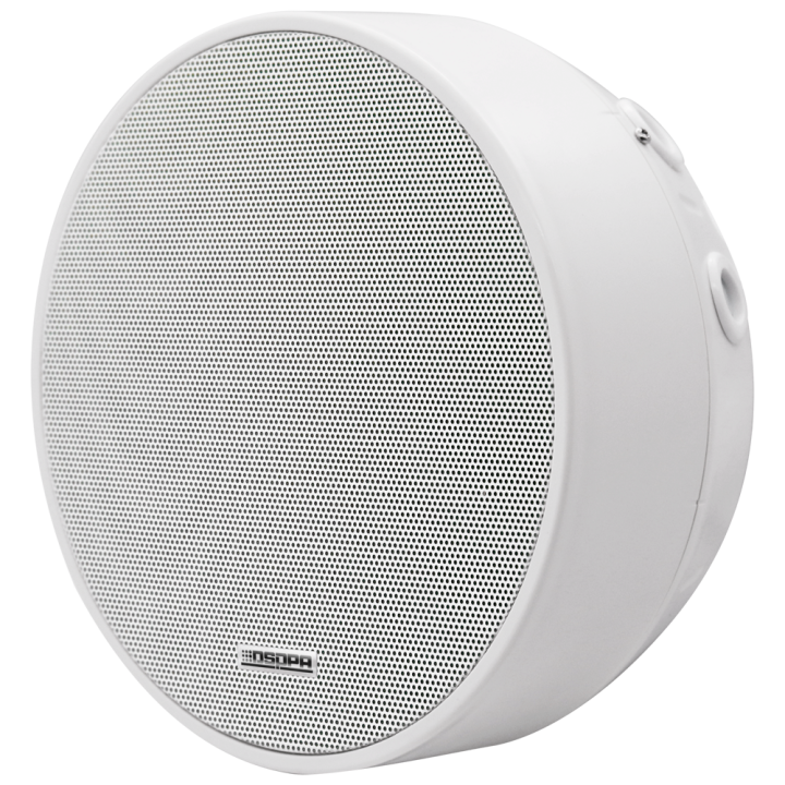 DSPPA DSPPA-DSP5311 — Haut-parleur de plafond | AVS Domotec