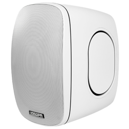 DSPPA DSPPA-DSP6050W — Haut-parleur de plafond | AVS Domotec