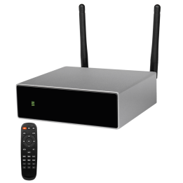 DSPPA DSPPA-DW0250 — Amplificateur du lecteur | AVS Domotec