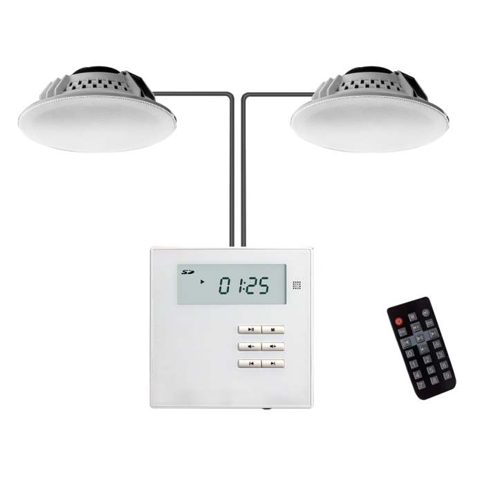 DSPPA DSPPA-M2U — 2 x Haut-parleurs de plafond 2x10W | AVS Domotec