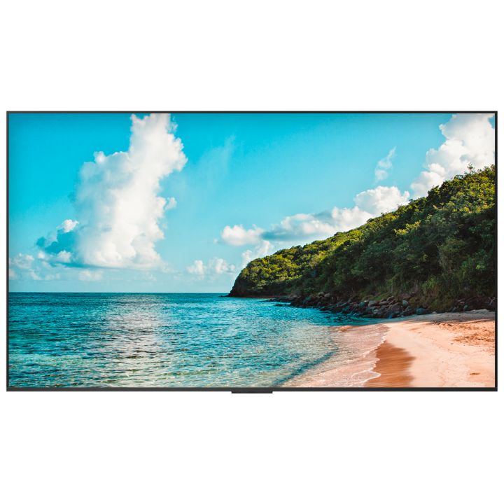 HISENSE HIS-100DM66E HISENSE HIS-100DM66E — Moniteur de signalisation 