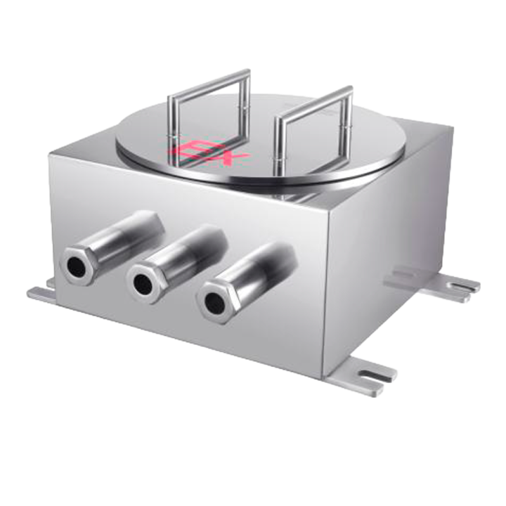 RAYTHINK RP-EX08 RAYTHINK RP-EX08 — Caja de control ATEX Raythink | AV