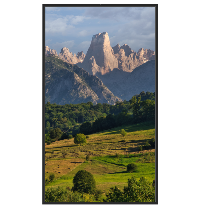 SAFIRE SF-55WF35-4K SAFIRE SF-55WF35-4K — Moniteur à haute luminosité 