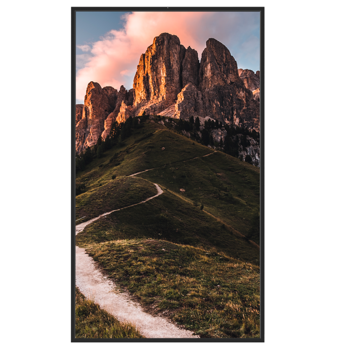 SAFIRE SF-65WF50-4K SAFIRE SF-65WF50-4K — Moniteur à haute luminosité 