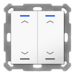 MDT BE-TAL55T2.A1 KNX-Tastsensor Light 55 m. Temperaturs. | 2-fach, Pf