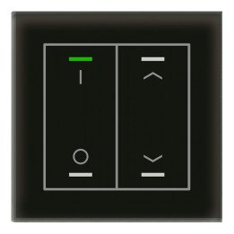 MDT BE-GTL2TS.D1S KNX-Glastaster II Light m. Temperaturs. | 2-fach, IO