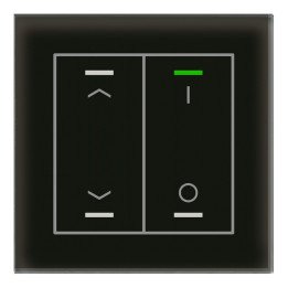 MDT BE-GTL2TS.C1S KNX-Glastaster II Light m. Temperaturs. | 2-fach, Pf